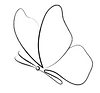 nur Schmetterling_edited